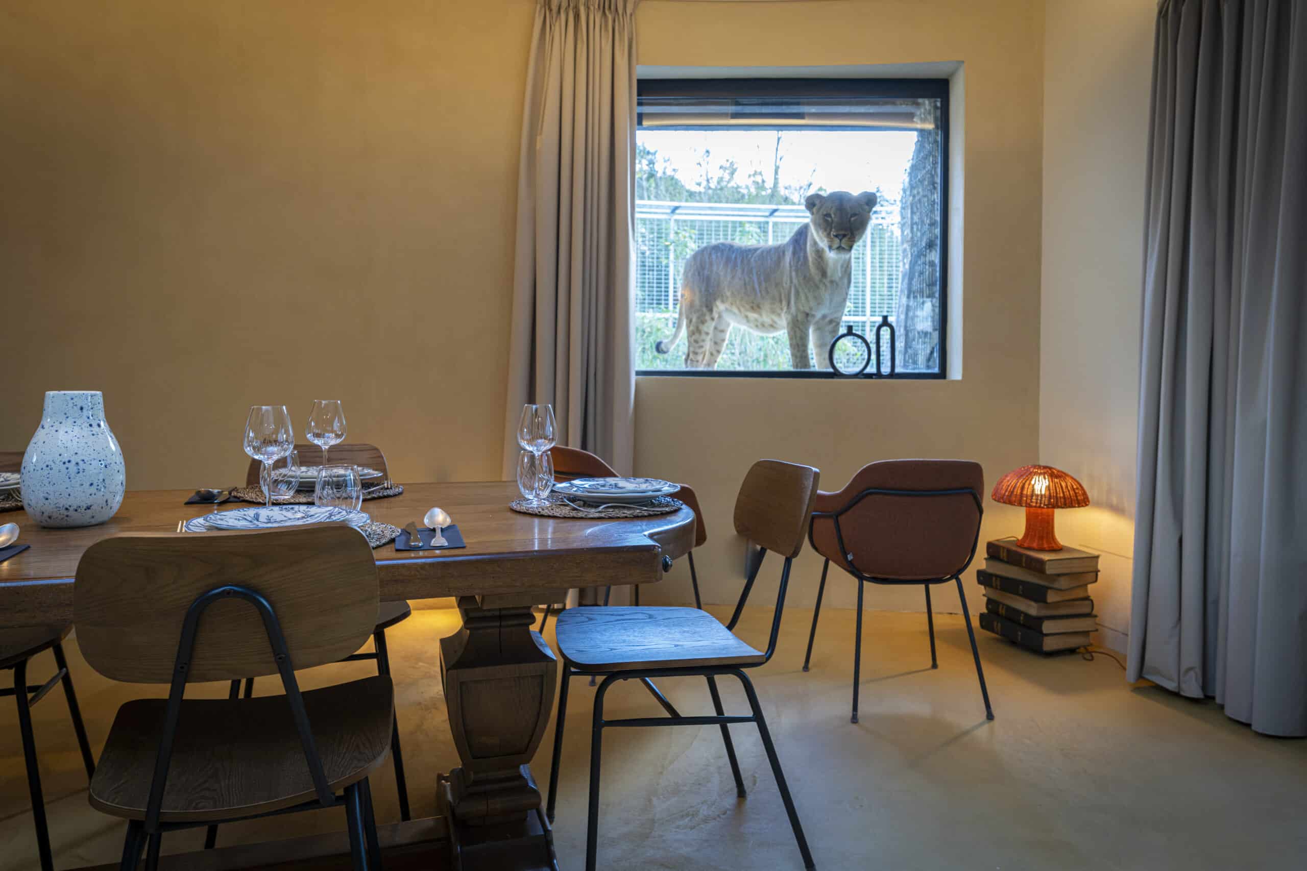 Salle à manger lodge lion