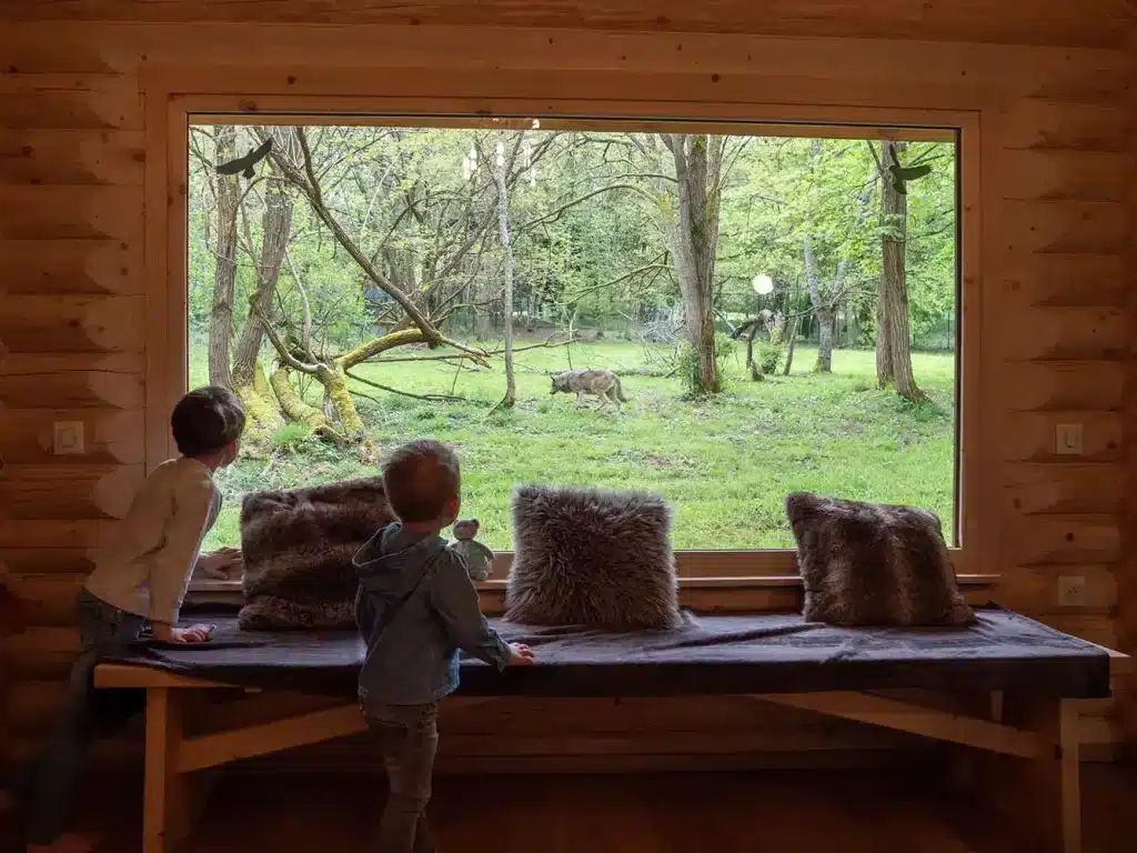 lodge fenrir loup parc reynou