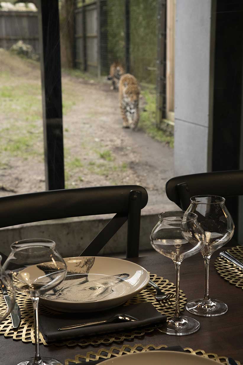 Salon lodge jaguar