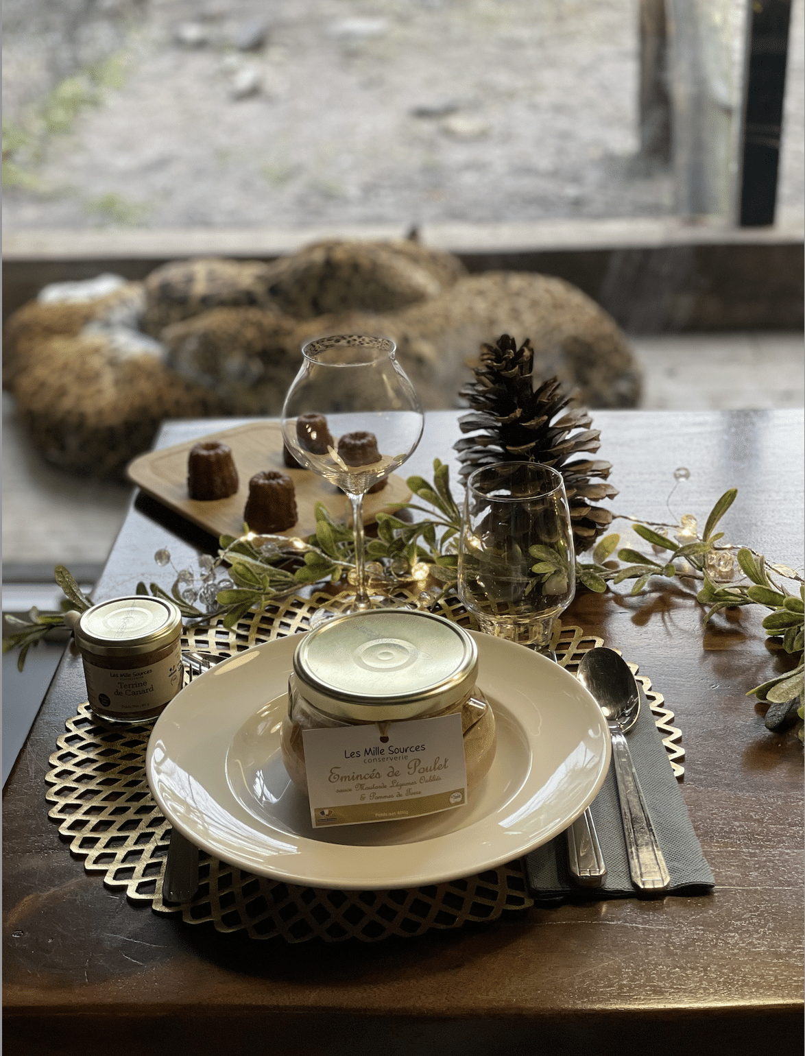 Jaguar au Zoo de Bordeaux-Pessac