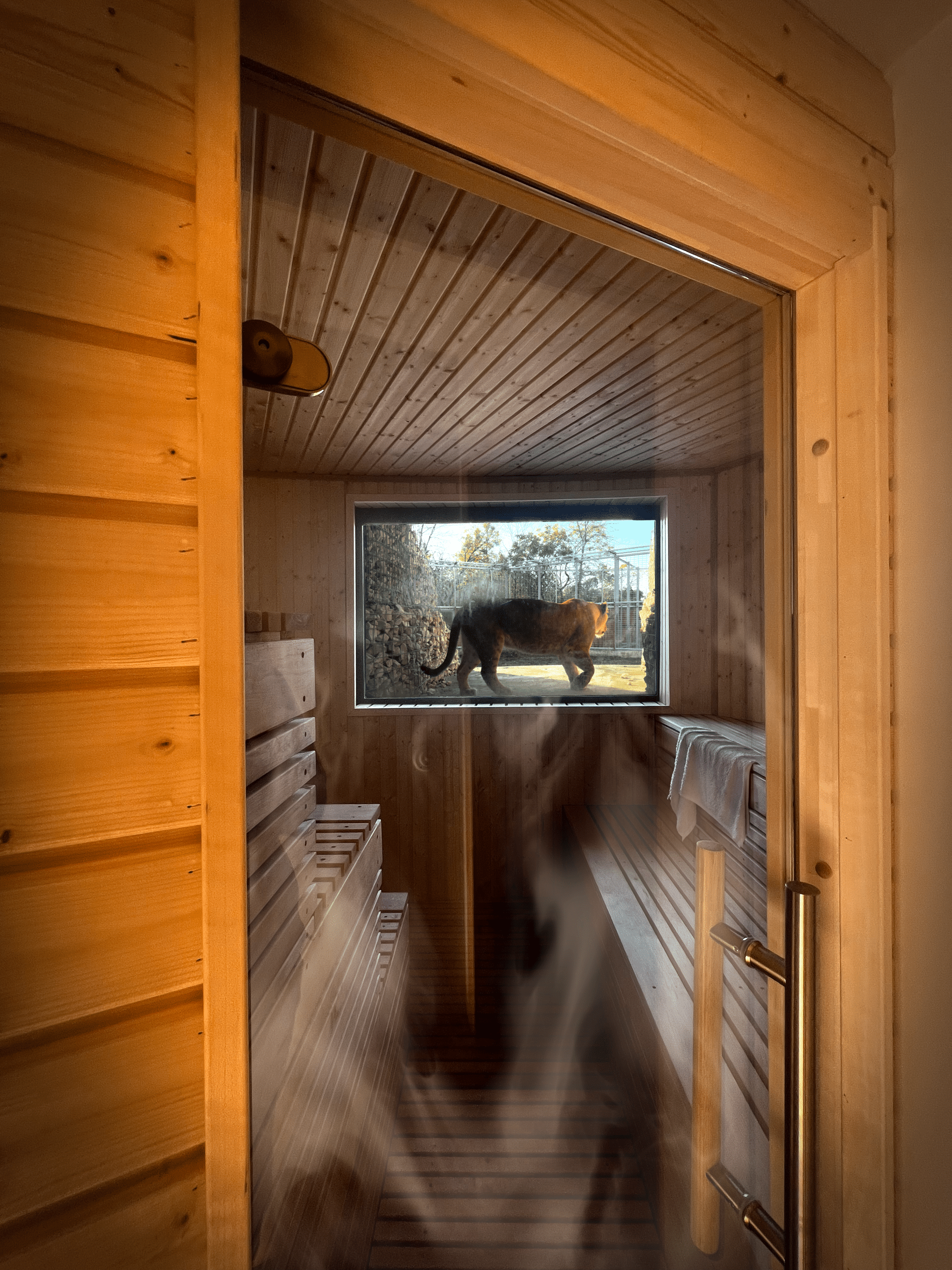 Sauna privatif