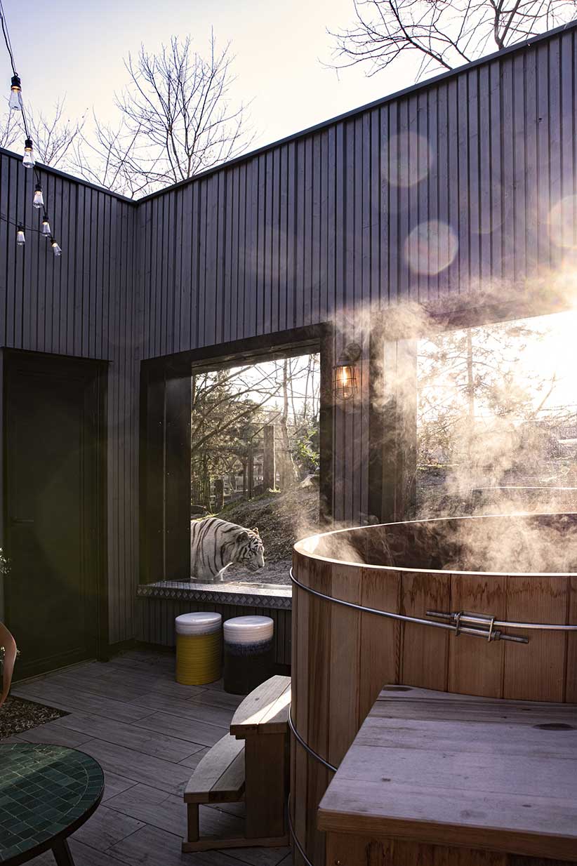Patio et bain nordique