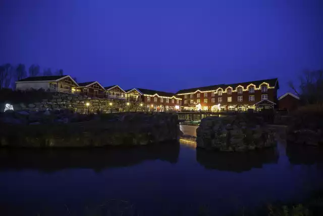 hotel the paddling bear otaries steller pairi daiza
