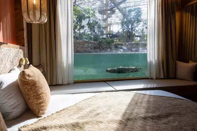 lodge riverside haven loutres geantes pairi daiza