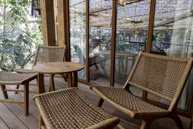 lodge the emerald retreat singe saimiris pairi daiza