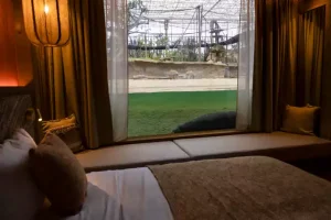 lodge the riverside haven hippopotame drill pairi daiza