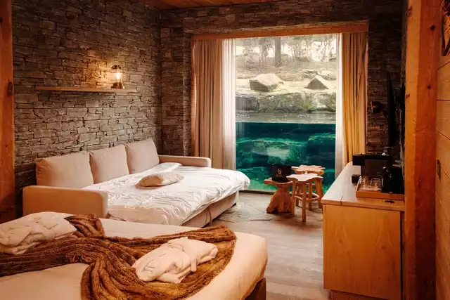 the white bear house ours blanc pairi daiza